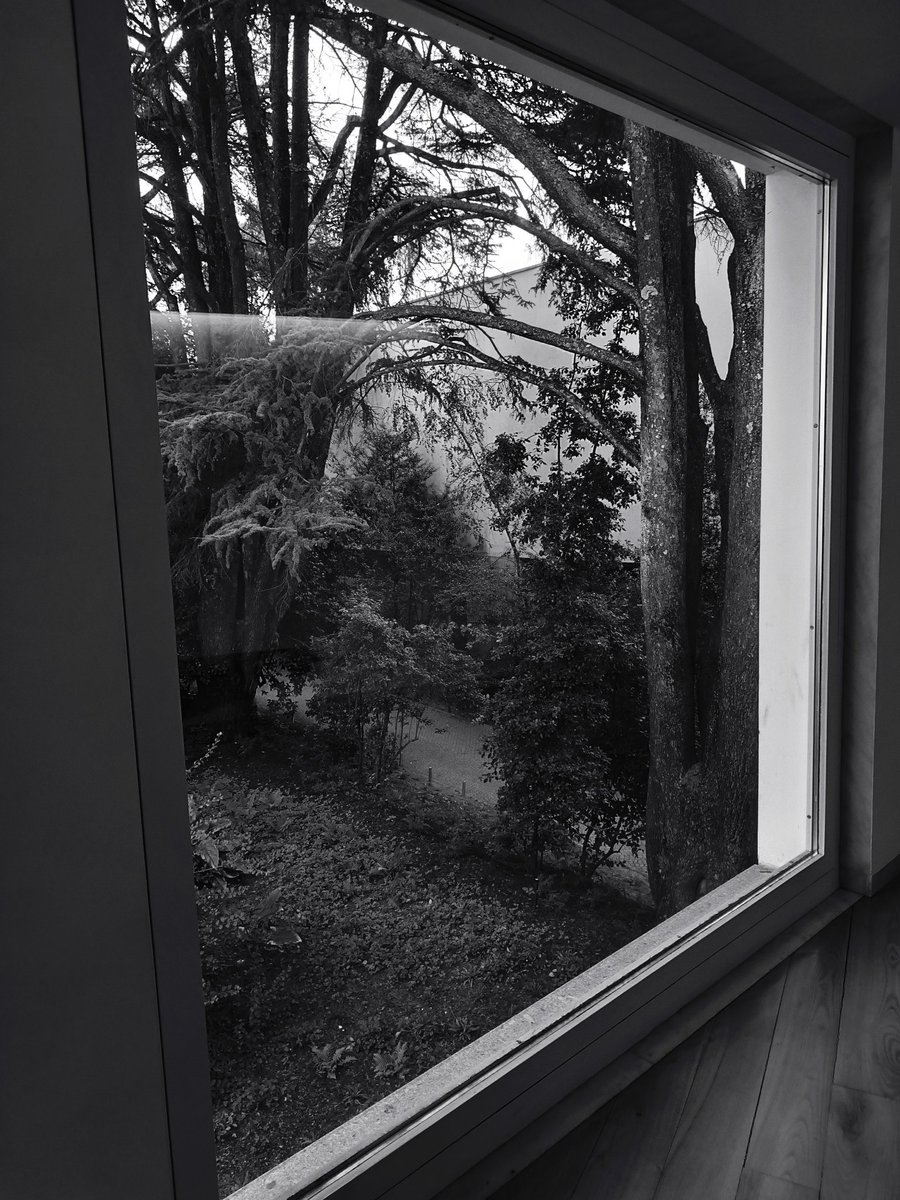 Aconchegamo-nos no conforto de ver o mundo através de uma janela fechada, que devolve apenas imagens a preto e branco.