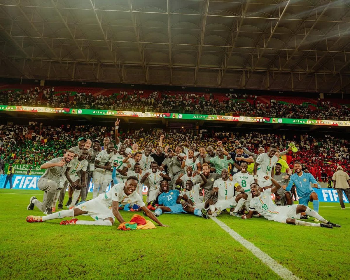 A feel-good 😊
🇸🇳🦁