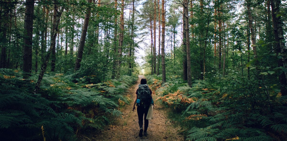 CerfiaFR's tweet image. 🇺🇸🌲 INSOLITE | Dans un lycée du Maine, les élèves punis marchent en forêt plutôt que d’être collés. Une mesure originale imaginée par la conseillère d’orientation de 54 ans, passionnée de randonnée.
Les heures de colle sont devenues des marches de 5 km, où discussions, lectures…