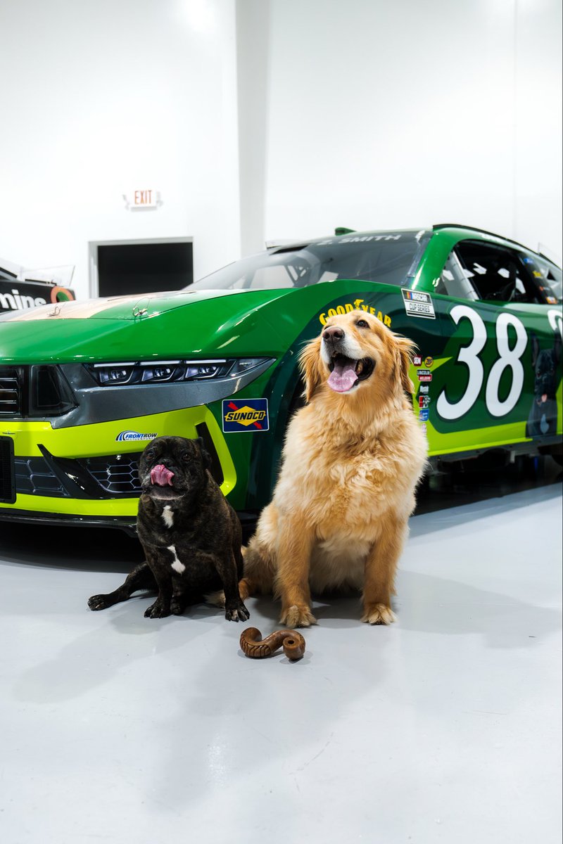 Man’s best friend &amp; car 

<a href="/mybenebone/">Benebone</a> | <a href="/ZaneSmith/">Zane Smith</a>
