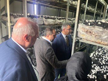 Sakarya’nın Akyazı İlçesinde Dünya Kadın Çiftçiler Günü Kutlandı