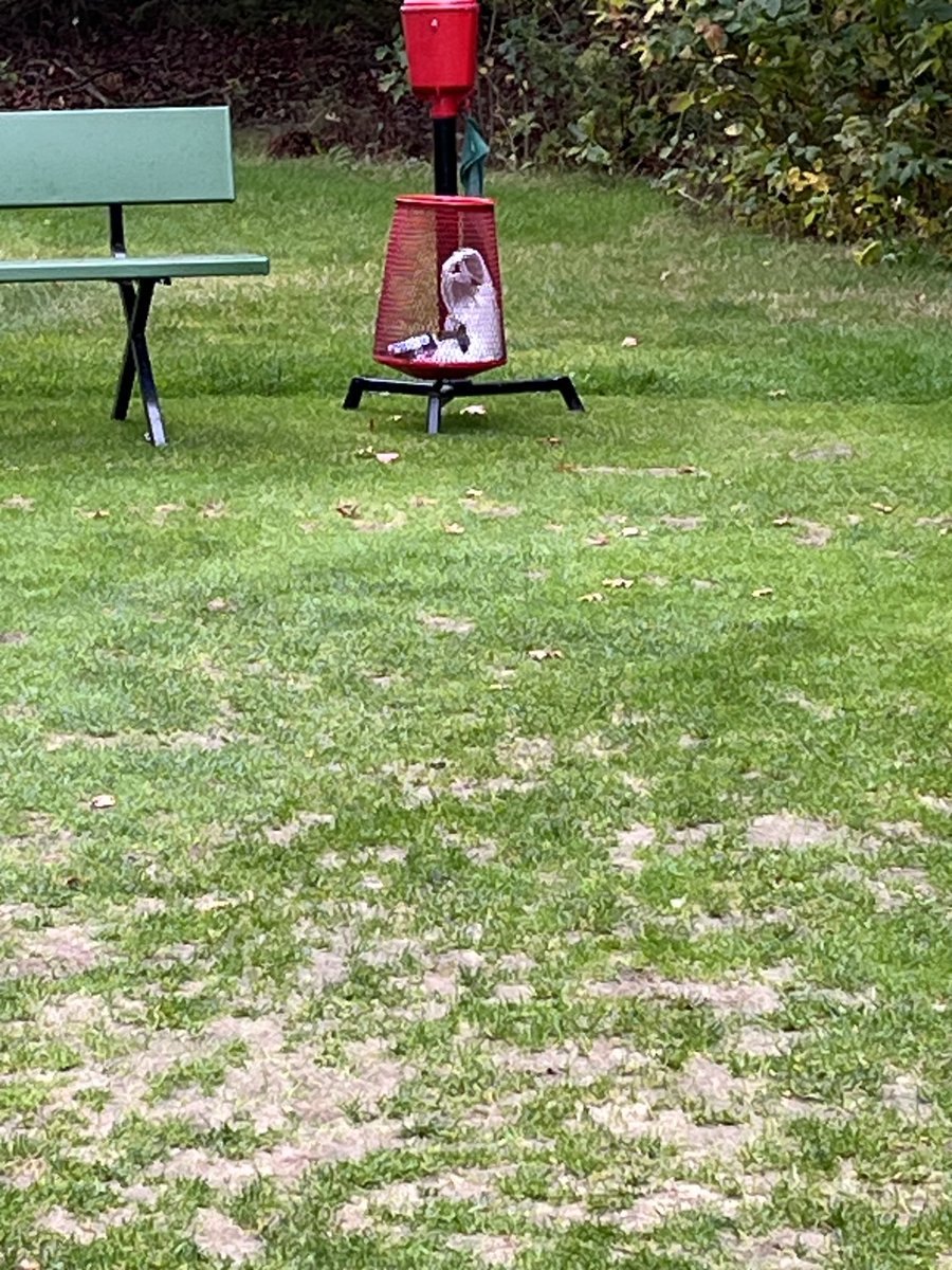 i thought who would throw away a stuffed dog on a golf course
