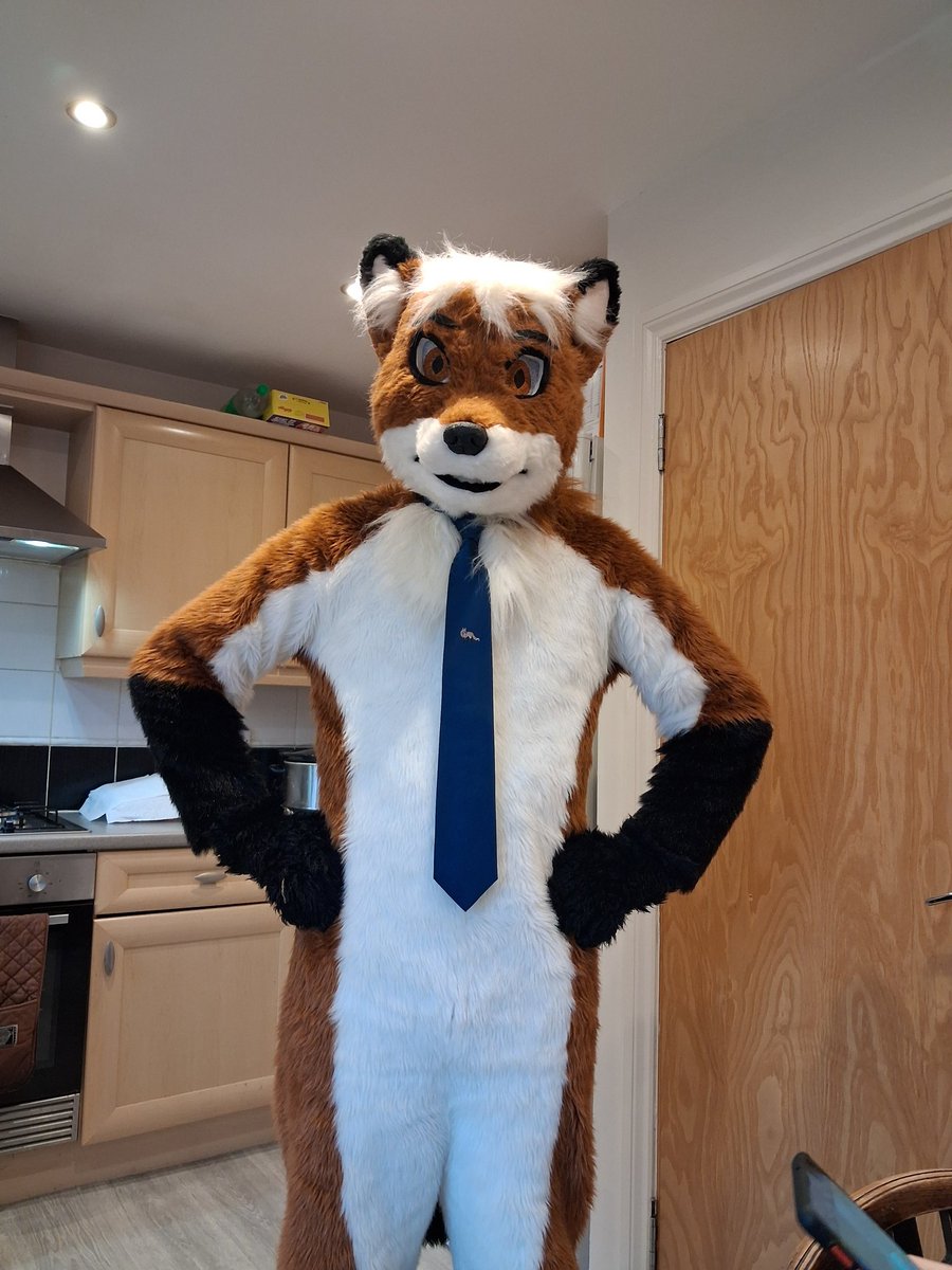 Draks_Dragon's tweet photo. He's a fox...in a tie

@ArcoTheFox ready for his hot date https://t.co/BVPgP4JNHL