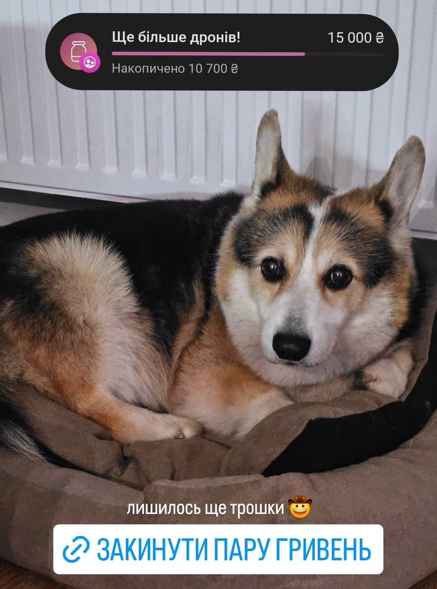 лишилось дозбирати 4000 грн
боже дапамажи🎉
send.monobank.ua/jar/9RBGHDFfm4