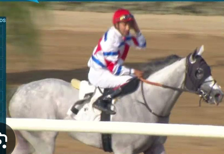 First Dude tweet media