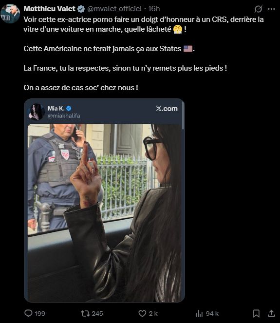 regelegorila's tweet image. Je respecte 1000x plus Mia Khalifa que tous ces chiens de députés RN
