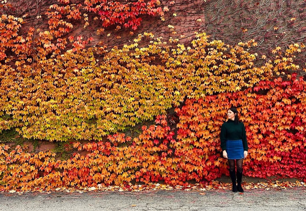 Fall, wall…Fall on the wall 🍁🏙️ #thisisroc 📷: Lauren #roc
