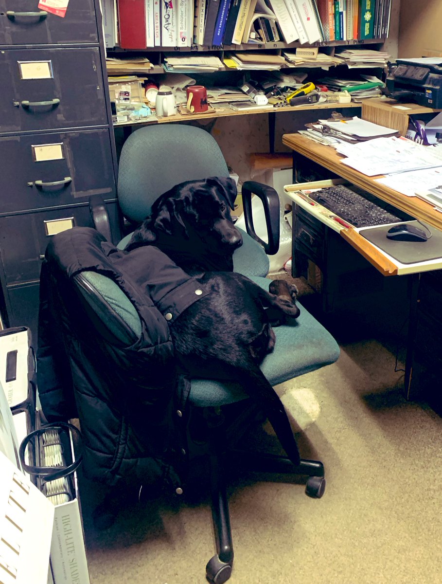 Goodmorning All!!! 
Max hopes Everyone has a terrific Day 🌻🐾❤️