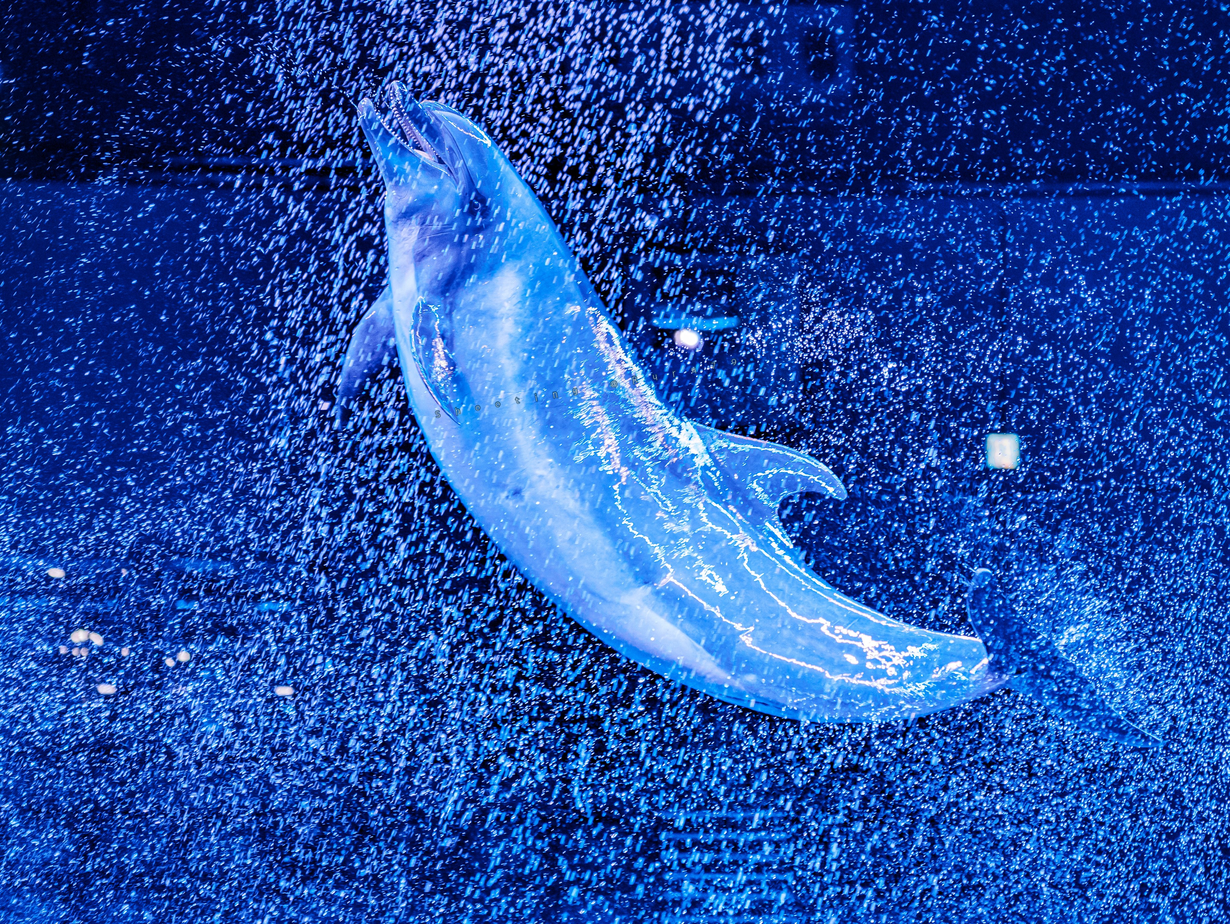 るるなっく (@ruru79) / X