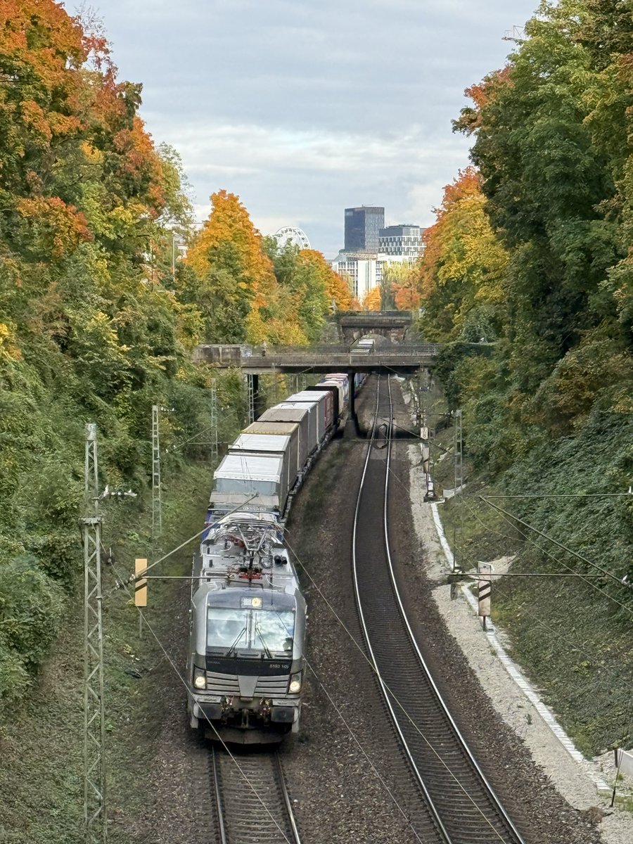 BoersenBonsai's tweet image. Der Herbst ist da.
#Servicetweet🍁