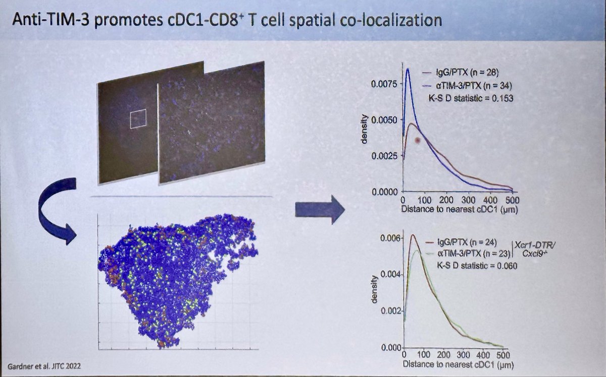 Sandy Anderson tweet media