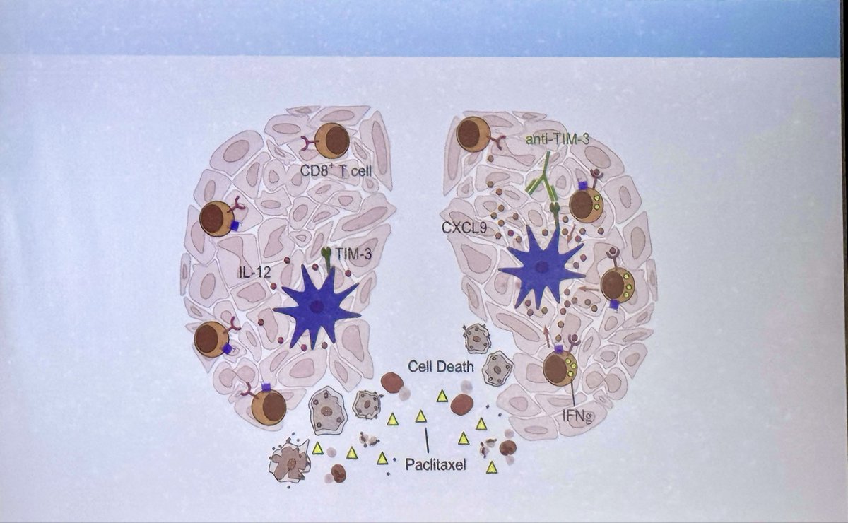 Sandy Anderson tweet media