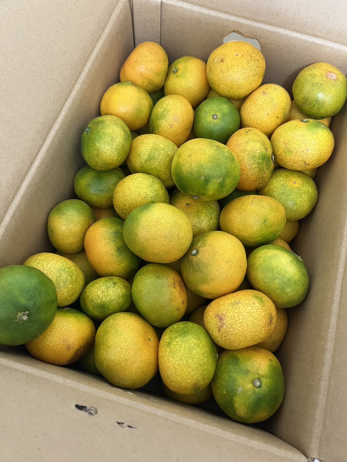 みかん☆さま確認ページ♡ みかん。お仕事募集中 on X