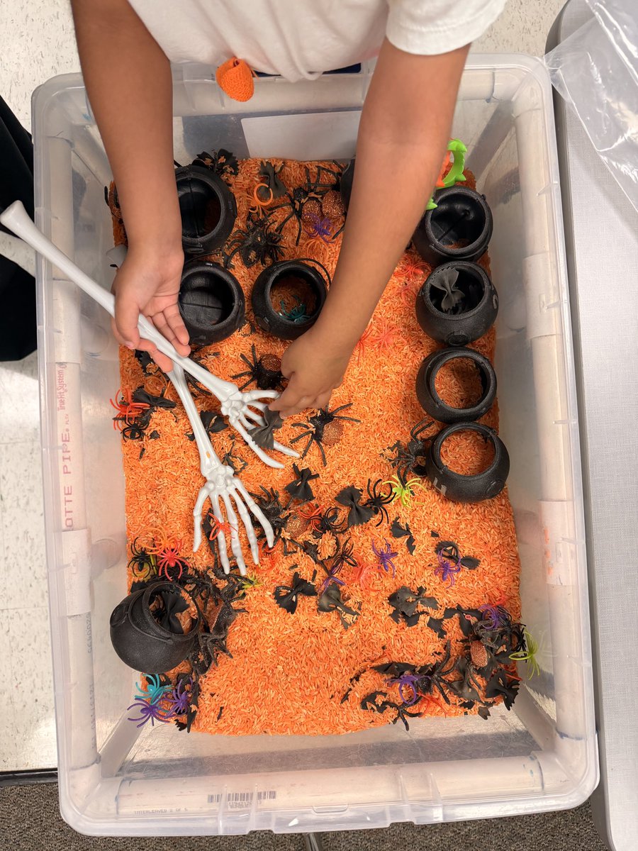 Sensory bins are getting spooky at OKE! 🕷️🕸️🧡

#OKEkoalas
@KatyISD