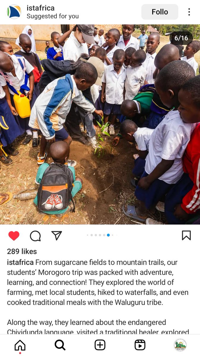 Last time we had a group of students from IST who stayed for three days to experience our activities to mention Chizua Waterfalls Hike,Village guided tour,local food class (gastronomy) and local school tour #chizuawaterfalls #thingstodoinmikumi