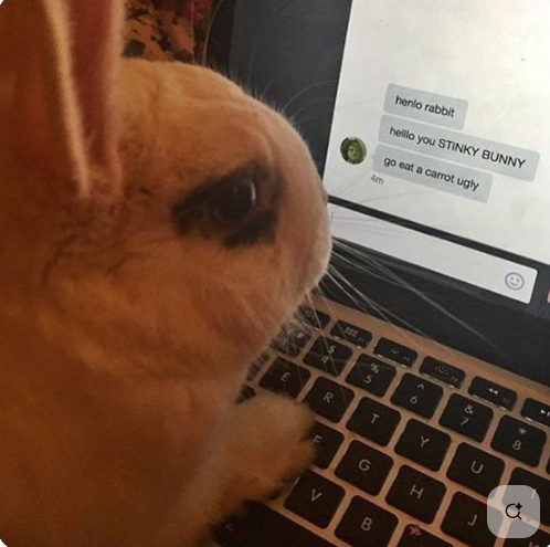 Miss Bunny 🐇bunny Moon goddess 🌕 Vtuber tweet media