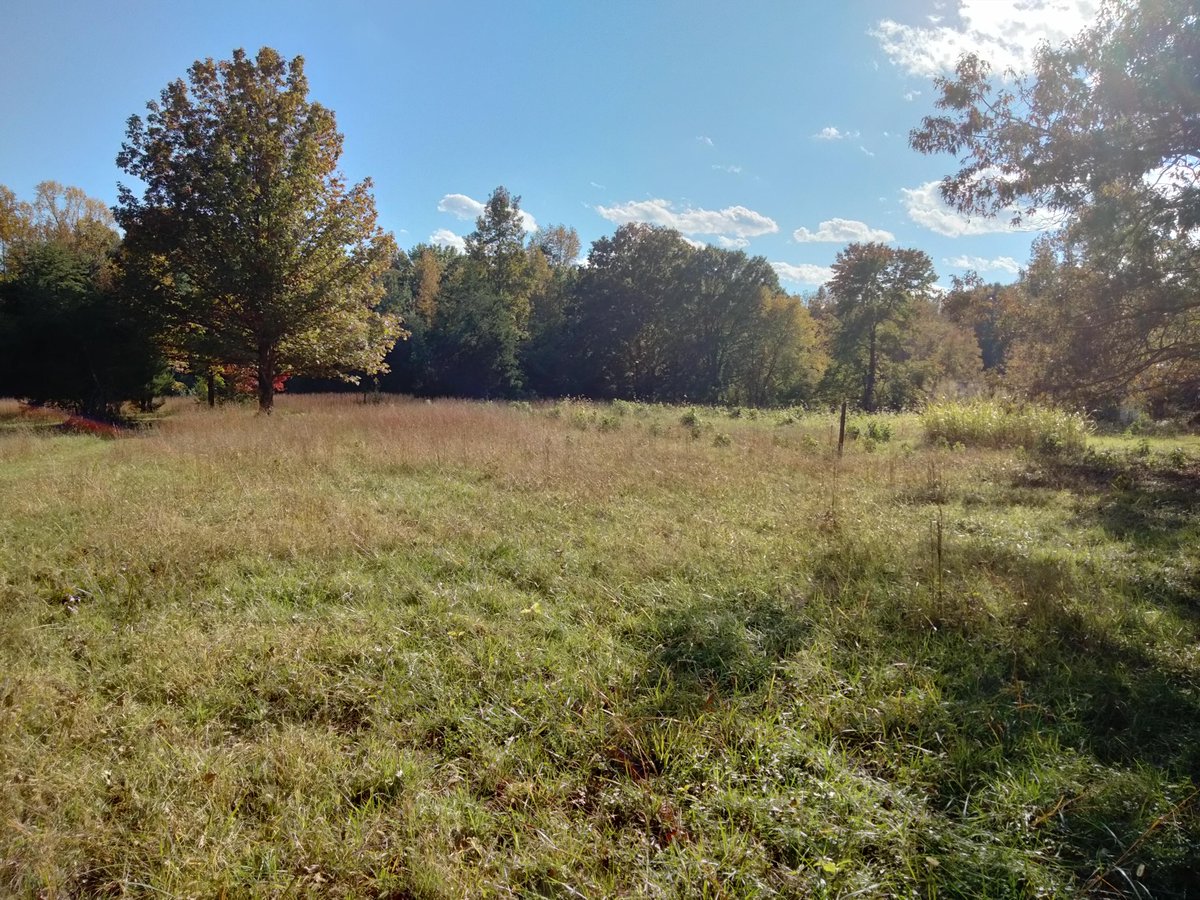 CVBT makes it easy to help preserve the places where history happened. You can quickly set up a monthly or annual recurring gift on the safe and secure CVBT website. It’s as simple as that! Go to bit.ly/3IHicta

#cvbt  #battlefieldpreservation
cvbt.org