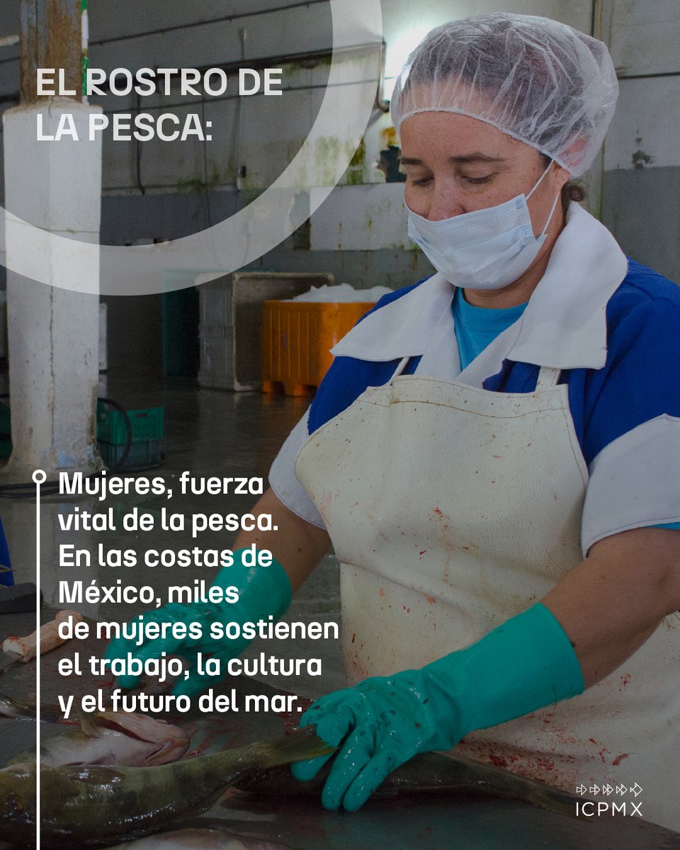 En muchas comunidades pesqueras, las mujeres son columna vertebral del tejido social y productivo. Sin embargo, su trabajo sigue siendo poco visibilizado. Reconocer su labor y garantizar condiciones dignas es clave para lograr una pesca más justa e inclusiva.  📸 Yohena Raya