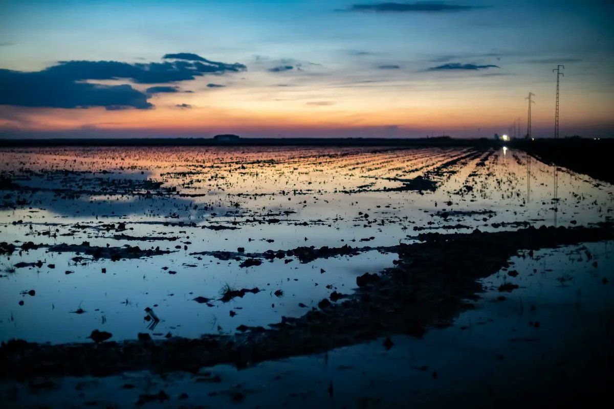 Openweather Ltd. tweet media