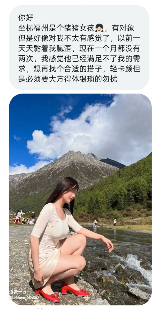 道友一行 tweet media