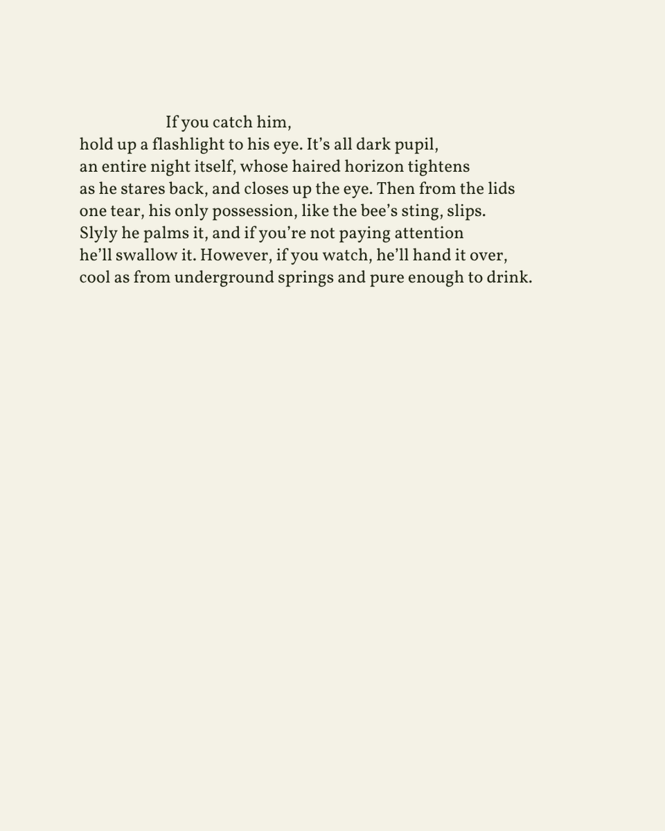 Today’s poem is selected by Talin Tahajian (<a href="/talinout/">talin tahajian 👁</a>) as part of the 20th anniversary of Read A Little Poetry.

"The Man-Moth" appeared in The Complete Poems 1926-1979 by Elizabeth Bishop, published by Farrar Straus and Giroux, 1983. Shared here with deep gratitude.