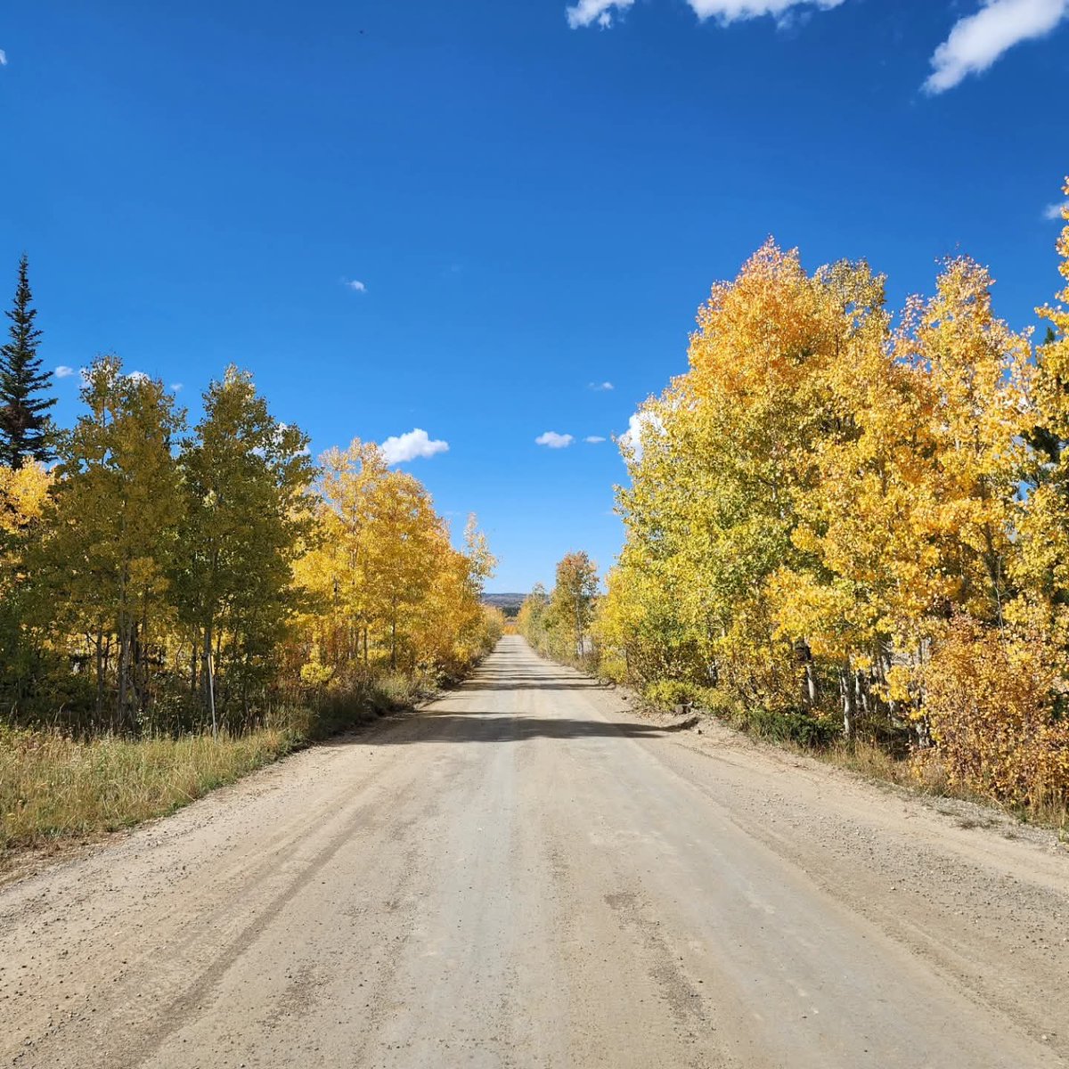 The colors are changing! Fall is beautiful