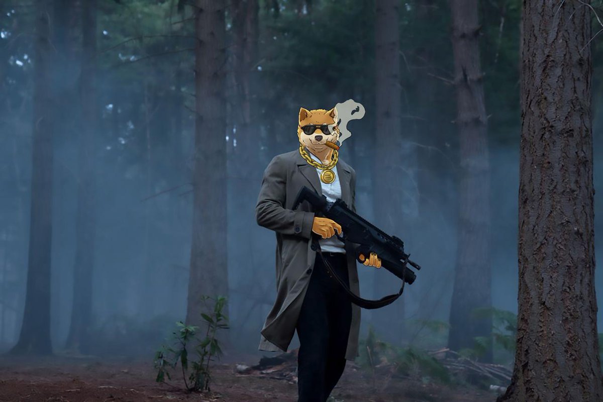 No time to die.

😎🐺

$DOGEN