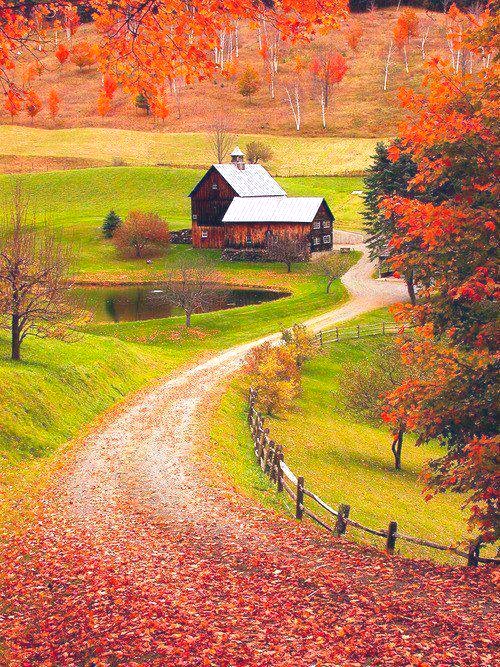 As you start 
to walk out on the
way, the way appears. 

          - Rumi