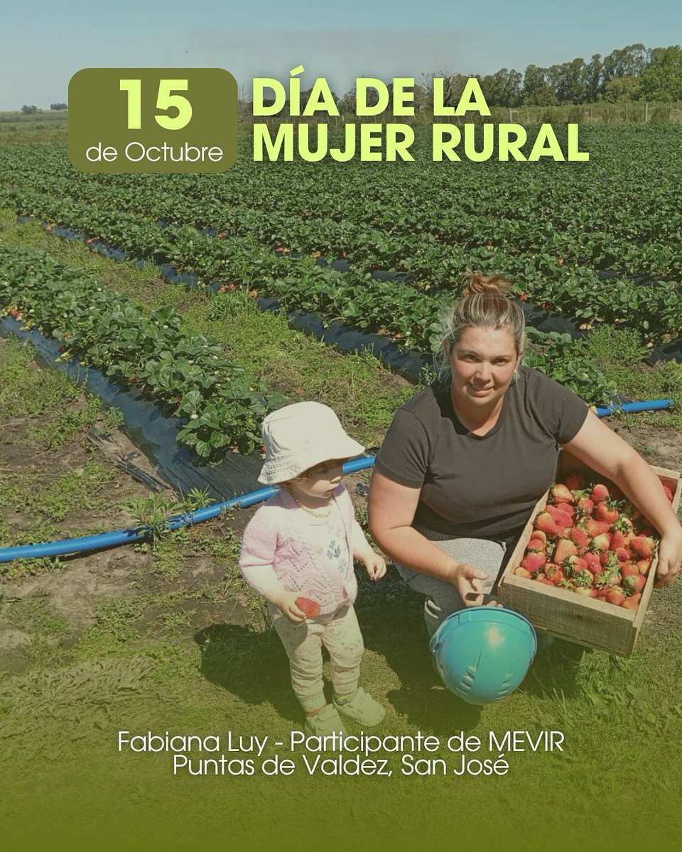 𝟭𝟱 𝗱𝗲 𝗼𝗰𝘁𝘂𝗯𝗿𝗲: 𝗗𝗶𝗮 𝗱𝗲 𝗹𝗮 𝗺𝘂𝗷𝗲𝗿 𝗿𝘂𝗿𝗮𝗹🌱

➡️ El 𝟲𝟭% de los titulares en viviendas de MEVIR, 𝘀𝗼𝗻 𝗺𝘂𝗷𝗲𝗿𝗲𝘀. 

✅ Las horas por ayuda mutua en las mujeres representa el 𝟱𝟱% de la totalidad. 

🏡 Actualmente en Puntas de Valdez, San José se