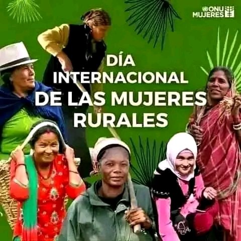 ¡Feliz Día Internacional de la Mujer Rural! Hoy y siempre, enaltecemos la labor incansable de las mujeres que, con sus manos, cultivan el presente y el futuro de nuestra tierra.
Felicidades.
 Con #HonorHolguinero, mi respeto y admiración para todas. 
#MujeresEnRevolución