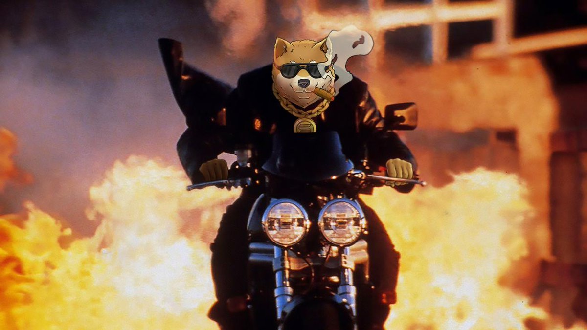 Ain't no mission impossible for DOGEN

🚀🐺

Buy $DOGEN:

MEXC: mexc.com/exchange/DOGEN…

Raydium: raydium.io/swap/?inputMin…

DexScreener: dexscreener.com/solana/3hsn6ja…