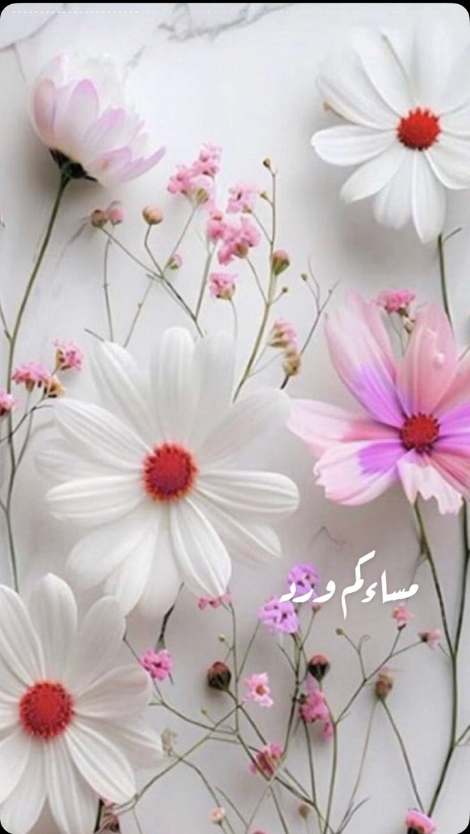 b__vllpp's tweet image. إبتسموا  ..
           فبعض البشر  ..
                              لحزنكم يفرحون. ..

#مساء_الــود_والـــورد