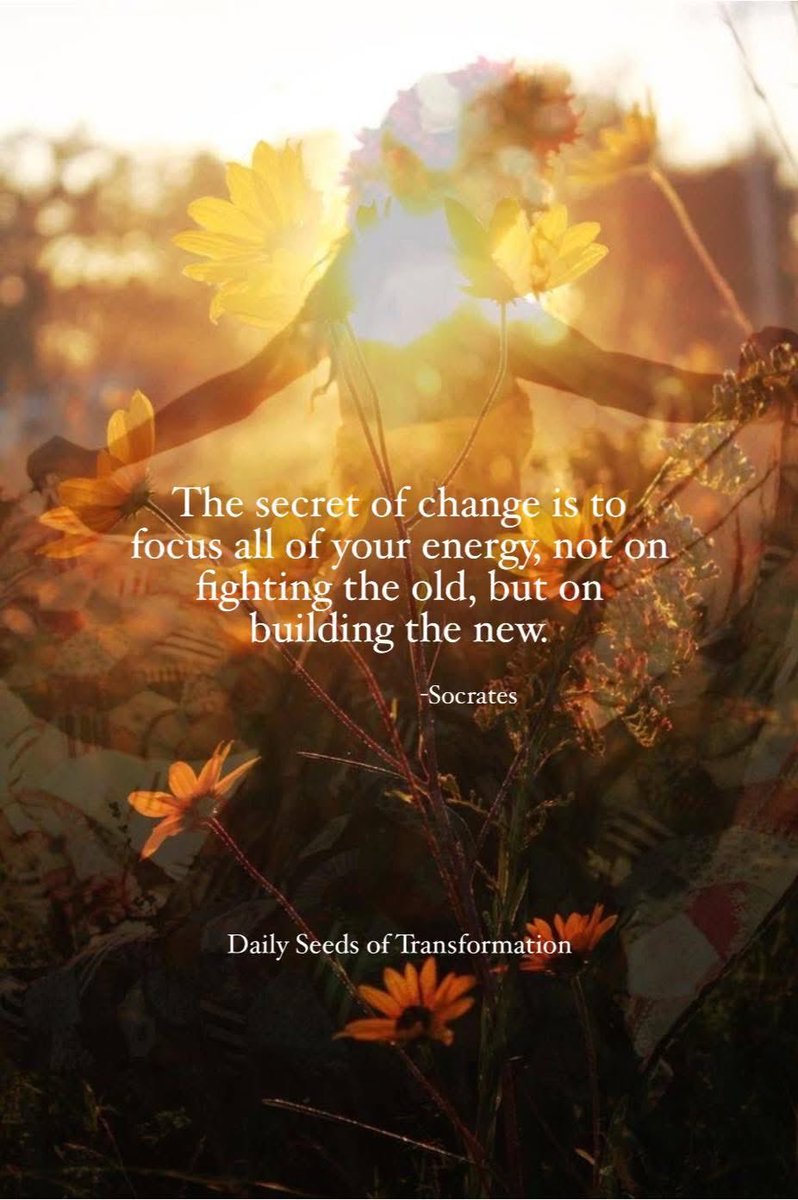 The secret of change is to focus all of your energy, 
not on fighting the old, 
but on building the new. 
- Socrates

Daily Seeds of  Transformation Group@FB
