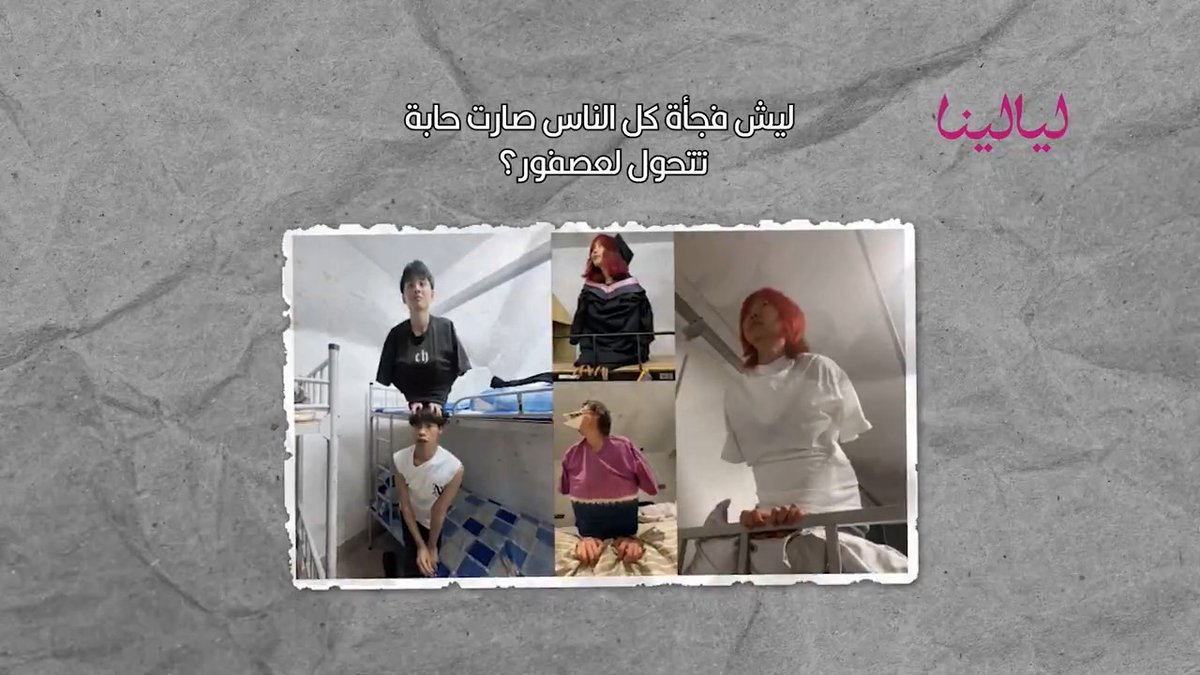 لماذا يريد البشر التحول إلى عصافير؟ 