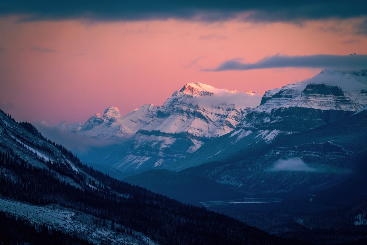 Good morning ☀️ wide angle or telephoto?