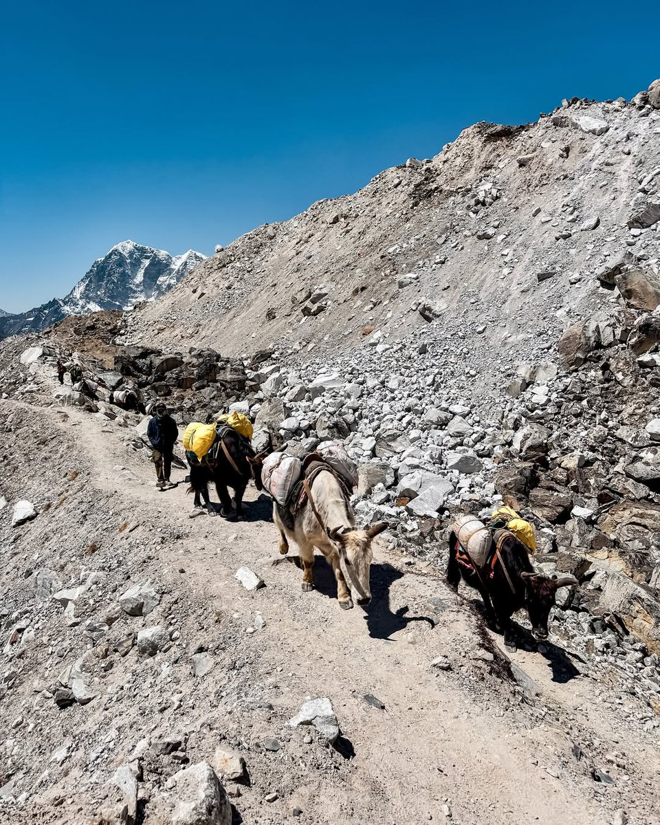 Everest Base Camp Trek - Bookings open for 2025 &amp; 26

📸: oana.pad
Info: We Ramblers

Book your departure now with We Ramblers

📧 trip@weramblers.com
🌐 weramblers.com

#WeRamblers #EverestBaseCampTrek #TrekWithRamblers #HimalayanAdventure #NepalTrekking #BucketListTrip