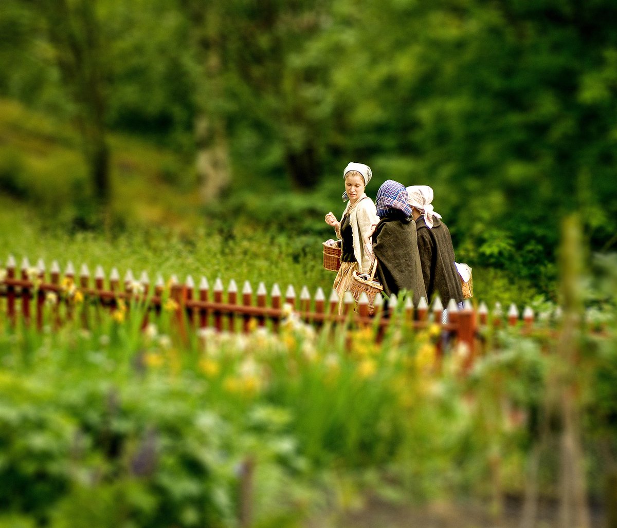 🌾👩‍🌾 Día Internacional das Mulleres Rurais
🌱💚
Hoxe, 15 de outubro, celebramos o Día Internacional das Mulleres Rurais, unha data para recoñecer o valor, o esforzo e o compromiso de tantas mulleres que fan posible un medio rural cheo de vida, innovación e futuro