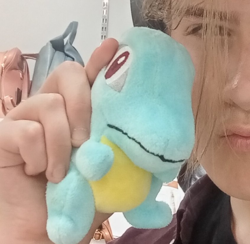 TheB_Assassin's tweet photo. @norainthefuture Totodile https://t.co/L4IBW9I4RP