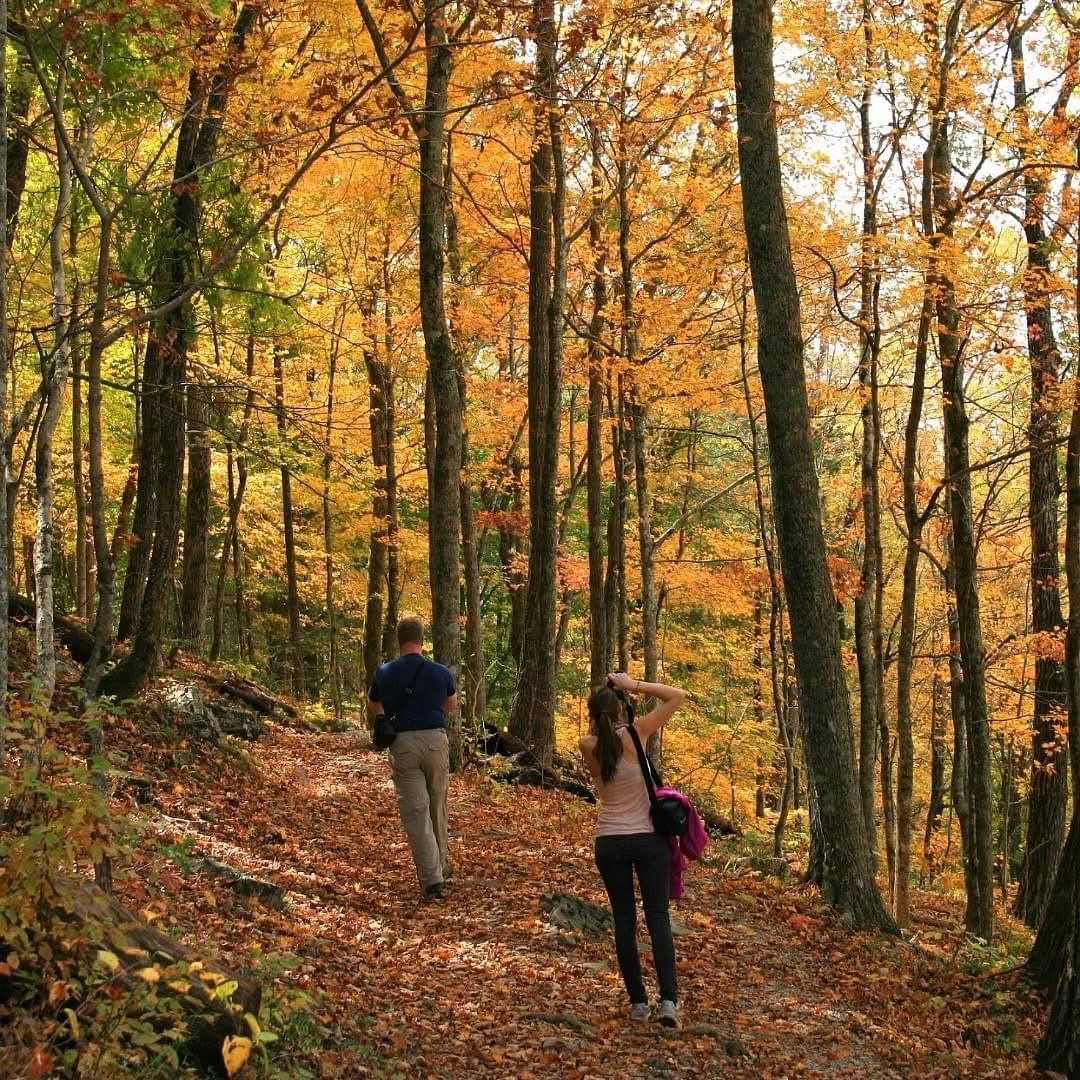 ky_adventure's tweet photo. Visit Park City with trails,caves & Waterways plus unique Dining,Festivals & a variety of accommodations! https://t.co/o0NqTYvZq1 #visitparkcityky #DiamondCaverns #MammothCave #trails #caves #kentuckyadventure #waterways #adventuretrails #travelky #kyadventure #adventureky https://t.co/9oG1xKeP6k