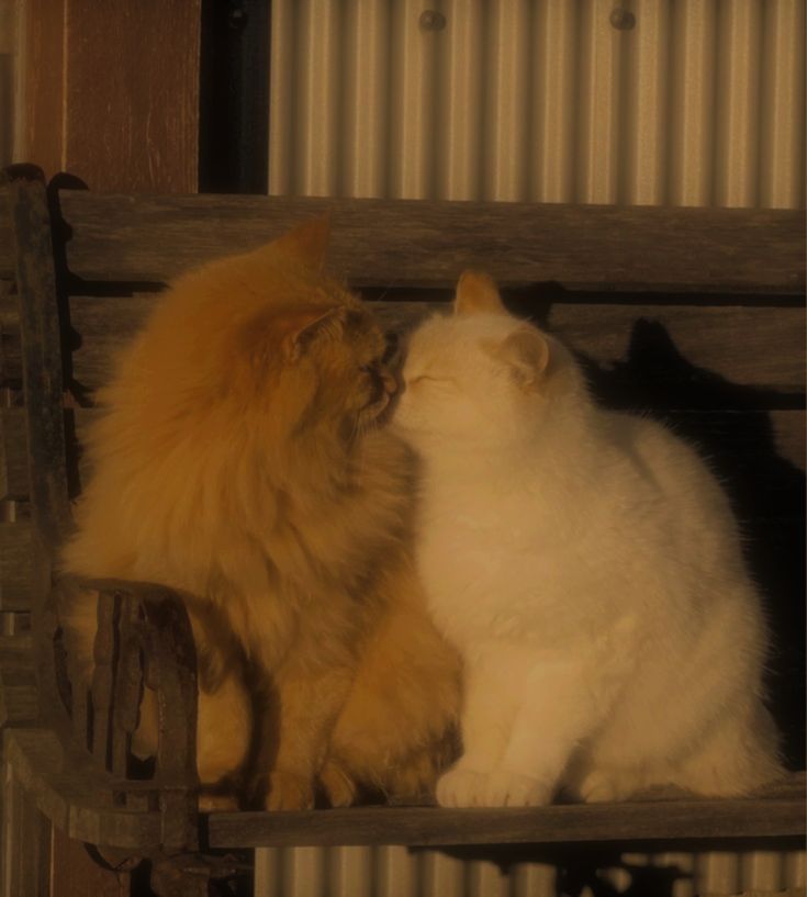 hîv. (@sorrrowfull) on Twitter photo 