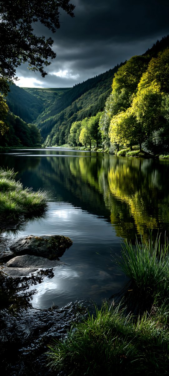 The silent passage of the woodland stream!