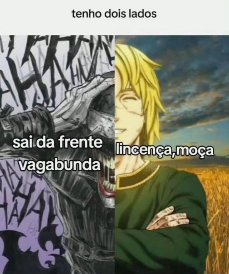 perfil dedicado a gatinhos e peitos (@odeiootaco) on Twitter photo 