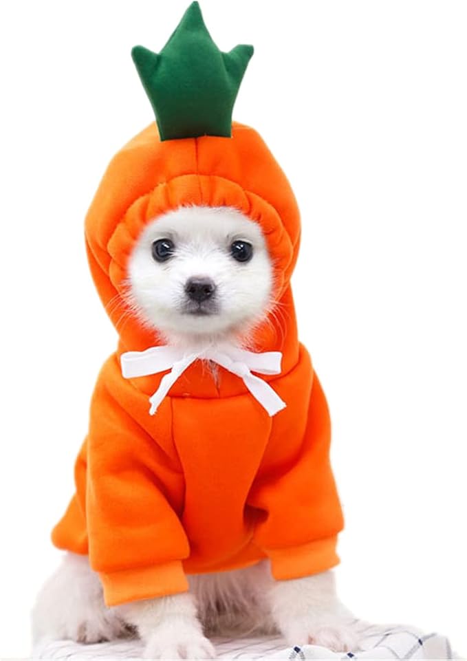 ComputerPal's tweet image. Check out this video Dog Christmas Halloween Costumes #dogs #cats #costume from ✅🎯📽️Computer Pal Videos 🎦🎯✅ geni.us/TFFpuBB #amazonfinds via @Amazon
#Halloween2025 #dogsoftwitter #funny #fypシ