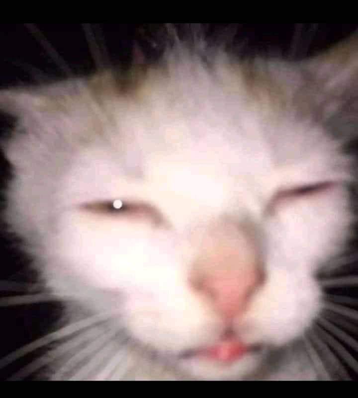 99 parou e eu achando q era a minha internet