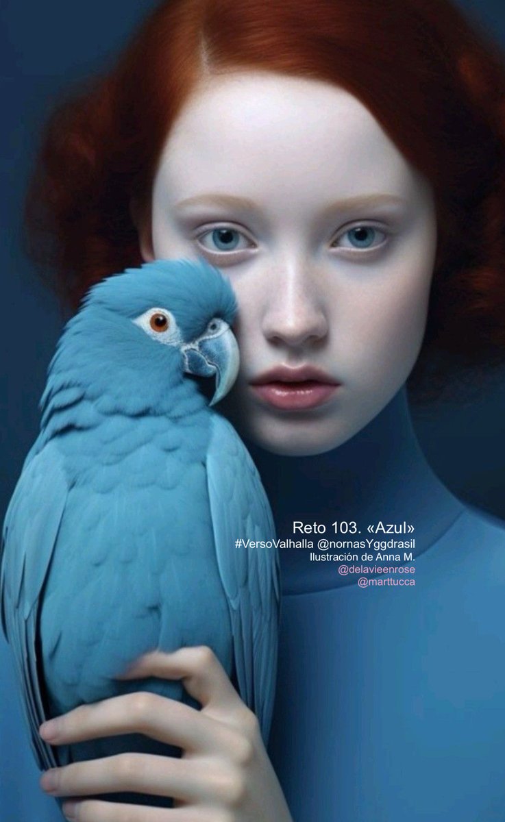 Rígida es mi imagen. 
Mirada inexpresiva, de esas, 
que no tienen vida. 

Me apoyo en en el cálido azul, 
de ese que dicen trae quietud, 
es lo que necesito, para, 
que no puedan distinguir. 
Que muy adentro lo que siento, 
no es feliz. 

#VersoValhalla