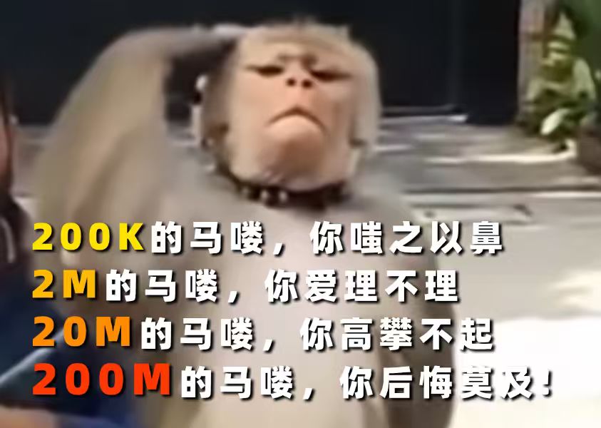 小马喽 tweet media