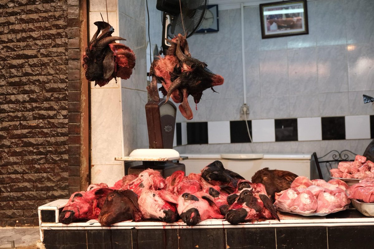 O recital "Nos 30 anos da Morte de Luís Miguel Nava" é apresentado no Teatro São Luiz nos dias 17, 18 e 19 de outubro. Uma das vozes mais intensas da poesia portuguesa contemporânea, a sua linguagem radical e profundamente visual ganha a voz de oito atores. Entrada livre.