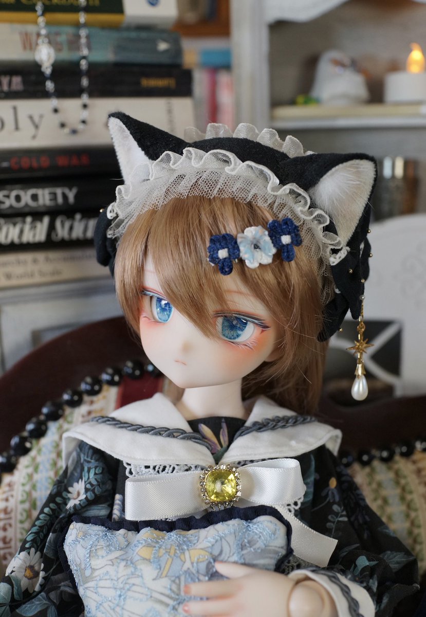 DDH - 28 カスタムヘッド MDD向け アイ セミホワ DDH セミホワ