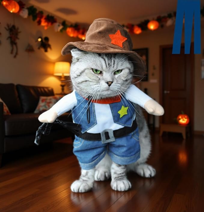 ComputerPal's tweet image. Check out this video West Cowboy Uniform with Hat #dogs #cats #costume from ✅🎯📽️Computer Pal Videos 🎦🎯✅ geni.us/Aw7w #amazonfinds via @Amazon
#Halloween2025 #dogsoftwitter #CatsOfTwitter #fypシ