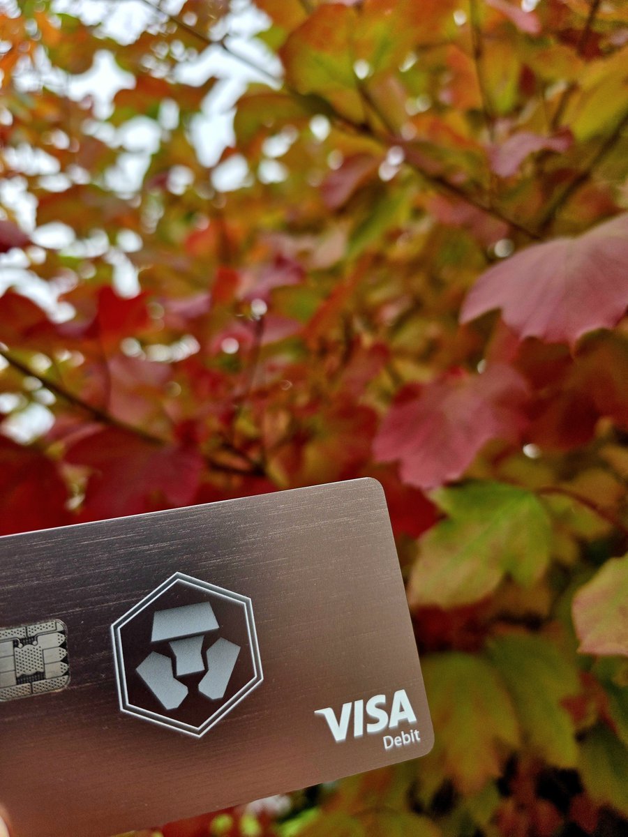 CroMayoole ๐ป (@cromayoole) on Twitter photo GM 212 #CROfam ๐
I just love the colors this time of year ๐
My Rose Gold <a href="/cryptocom/">Crypto.com</a> card is perfectly matching the vibe ๐ณโจ
Autumn looks even better with a touch of $CRO ๐
#FFTB #CRO #cryptoirl
#cryptocom GM 212 #CROfam ๐
I just love the colors this time of year ๐
My Rose Gold <a href="/cryptocom/">Crypto.com</a> card is perfectly matching the vibe ๐ณโจ
Autumn looks even better with a touch of $CRO ๐
#FFTB #CRO #cryptoirl
#cryptocom